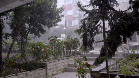 #Eventos climáticos extremos